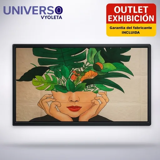 Monitor PHILIPS 43BDL4511D-00 D-Line para publicidad interior