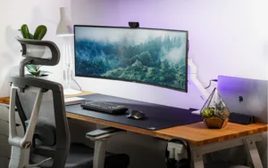 ¿No Sabes Qué Monitor Comprar? Aprende Cómo Elegir el Monitor Perfecto